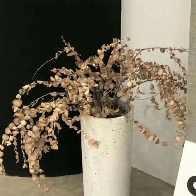 Furry角色动作设计兽圈群